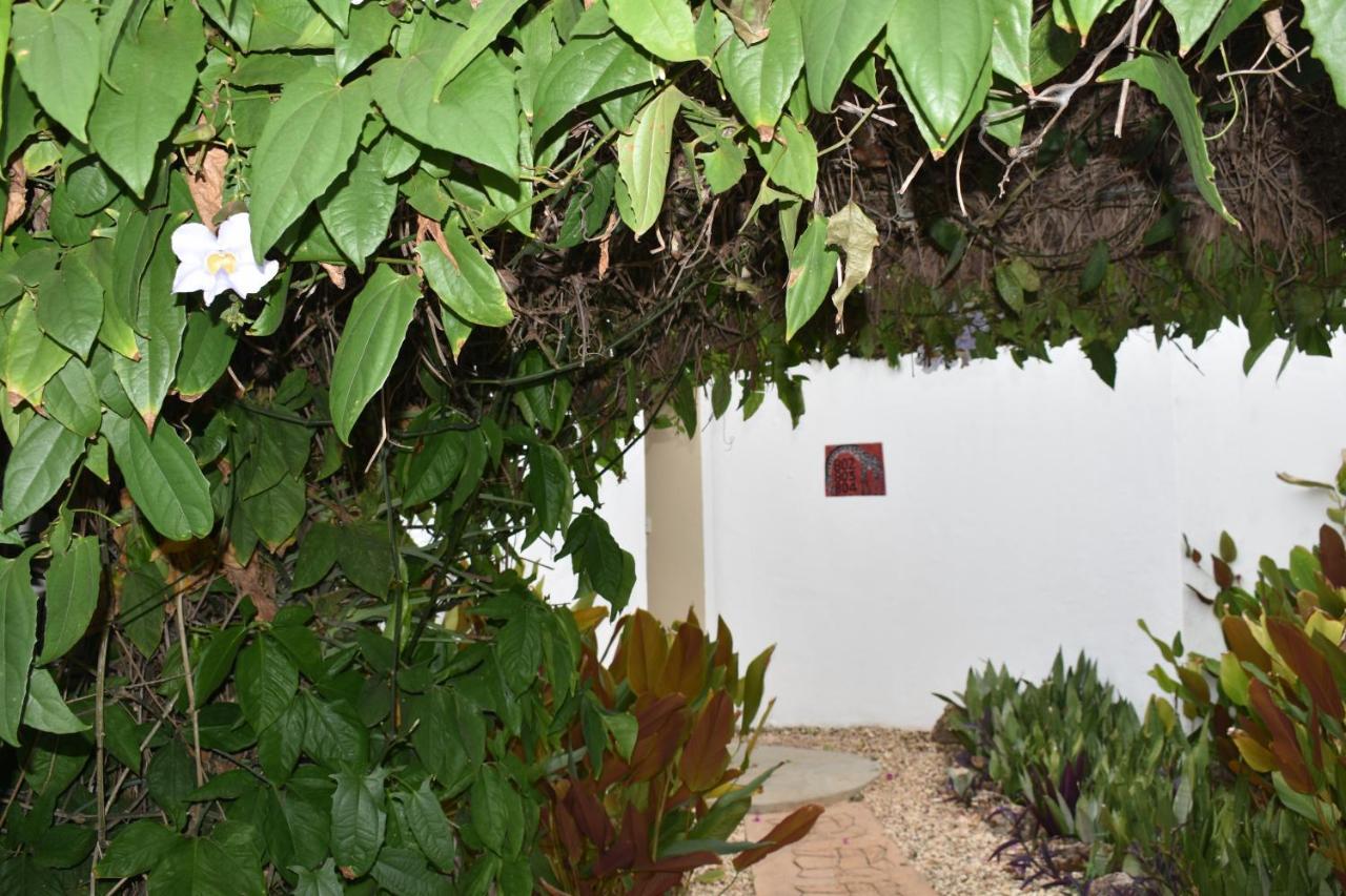 Kendwa Beach Resort Εξωτερικό φωτογραφία