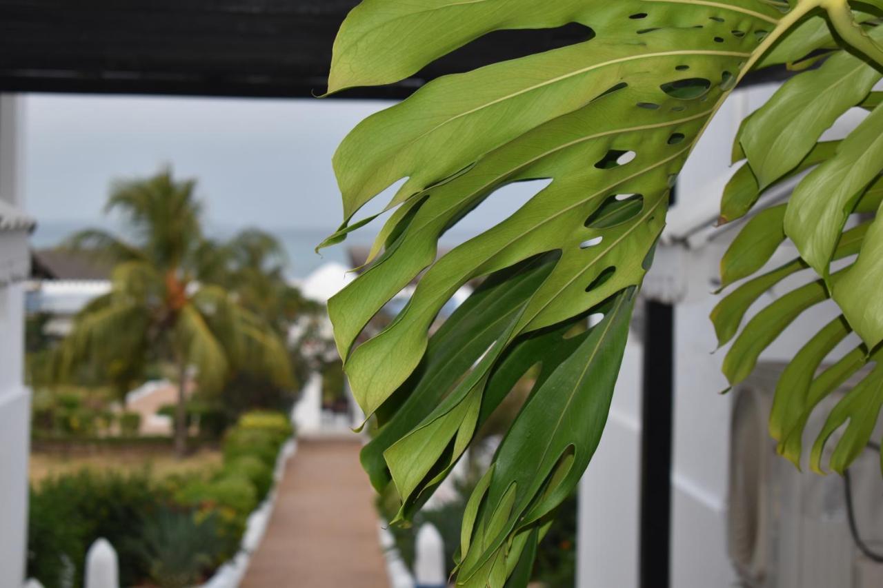 Kendwa Beach Resort Εξωτερικό φωτογραφία