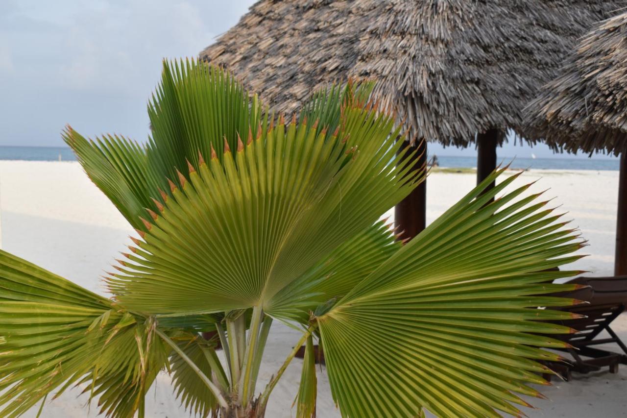 Kendwa Beach Resort Εξωτερικό φωτογραφία