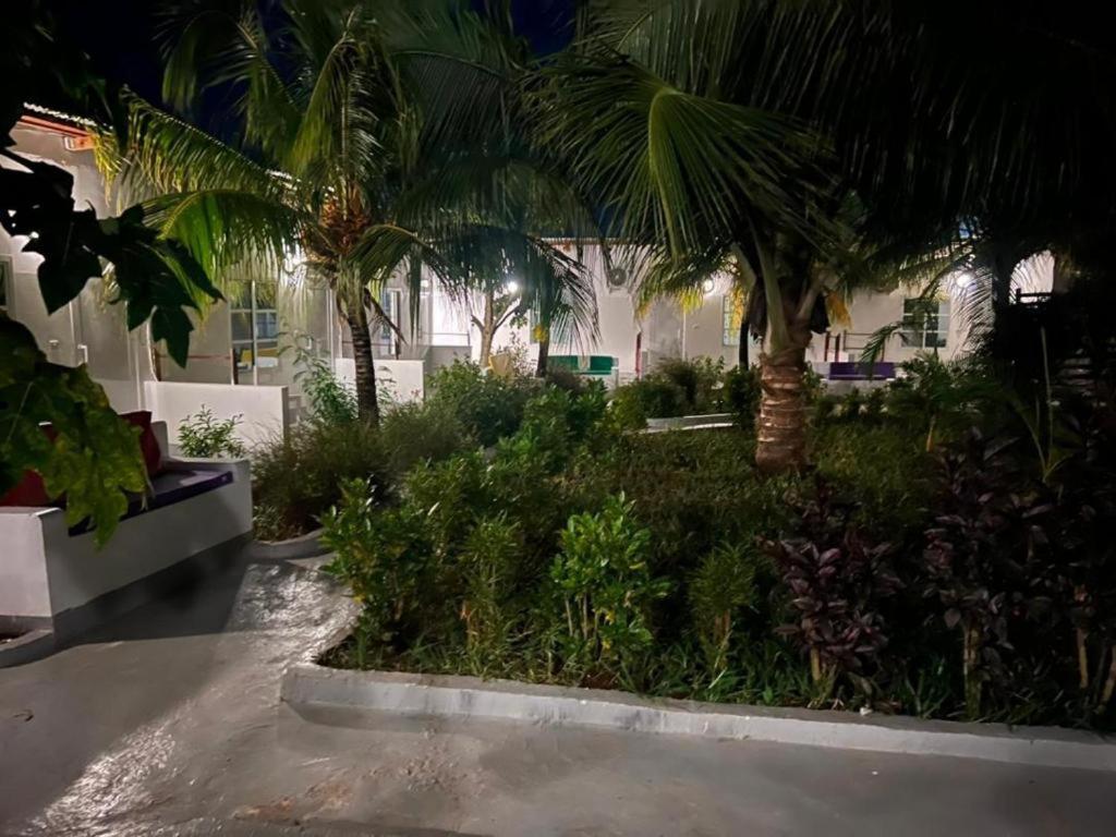 Kendwa Beach Resort Εξωτερικό φωτογραφία
